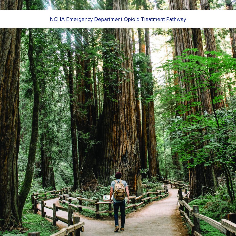 Forest-Image-Text-Overlay Forest-Image-Text-Overlay